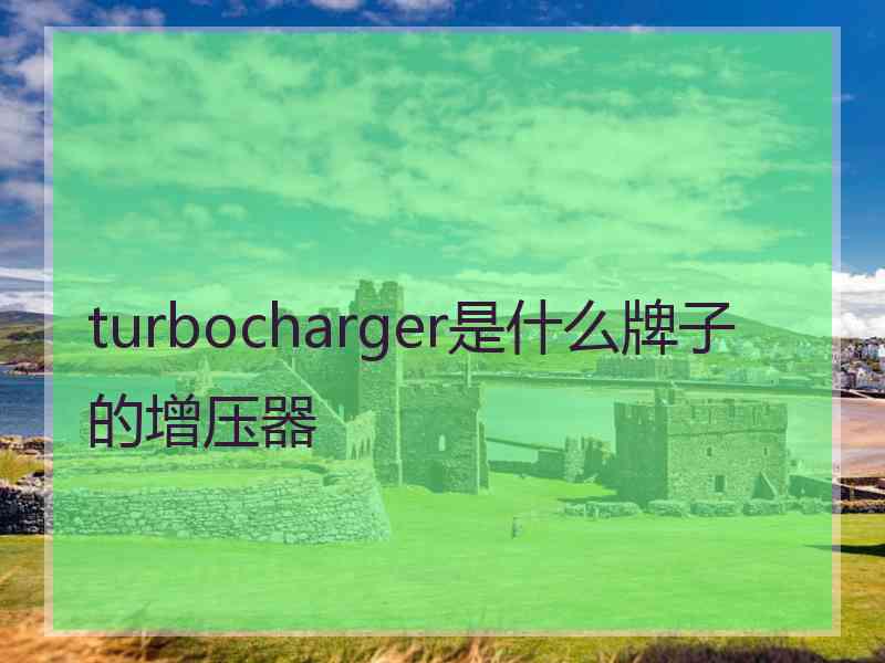 turbocharger是什么牌子的增压器