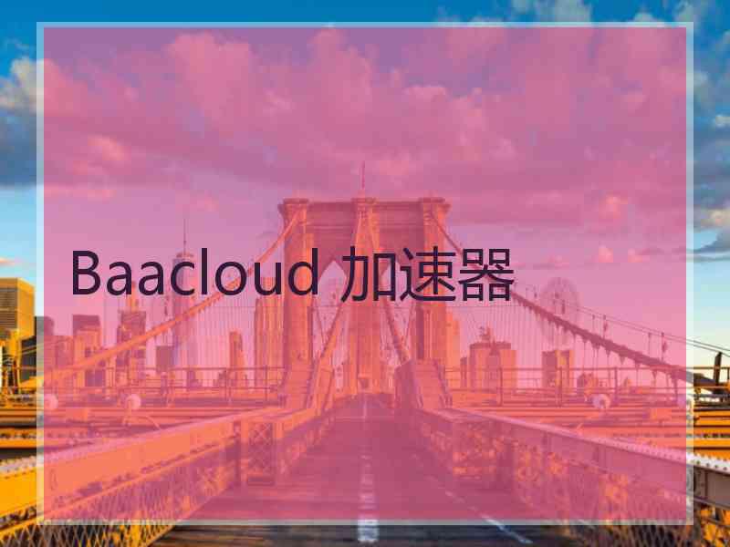 Baacloud 加速器