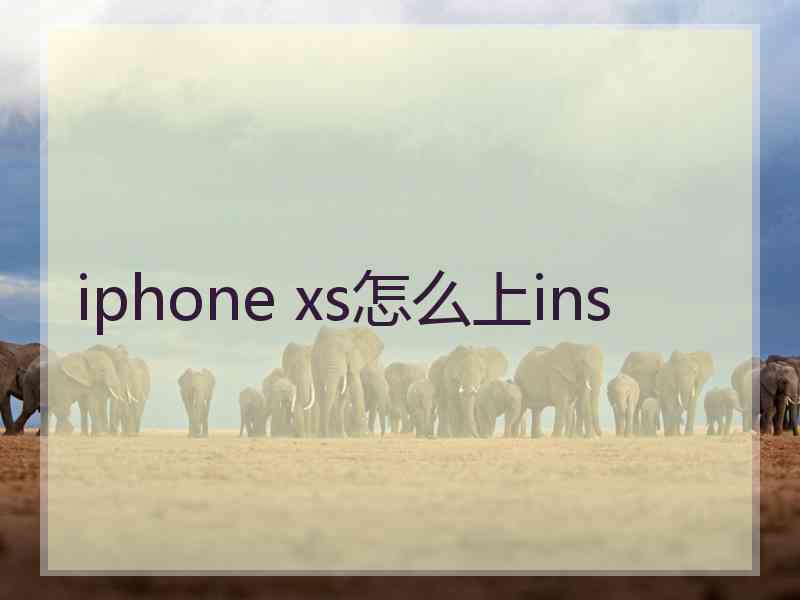 iphone xs怎么上ins