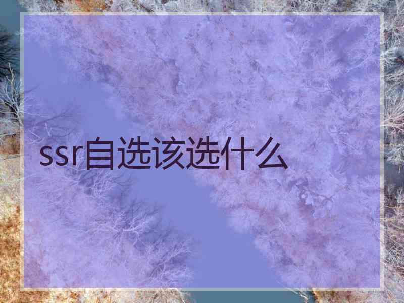 ssr自选该选什么