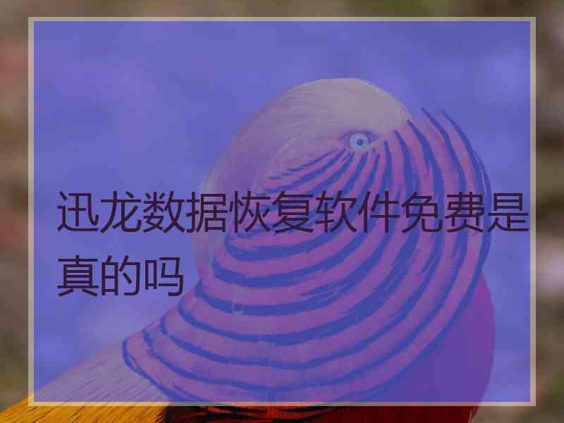 迅龙数据恢复软件免费是真的吗