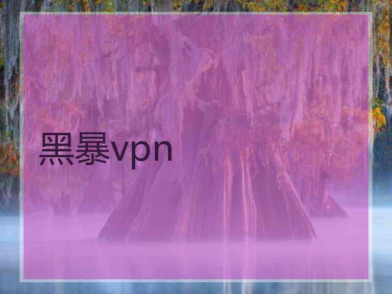 黑暴vpn