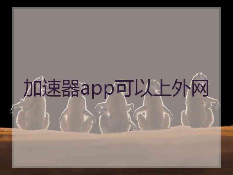 加速器app可以上外网