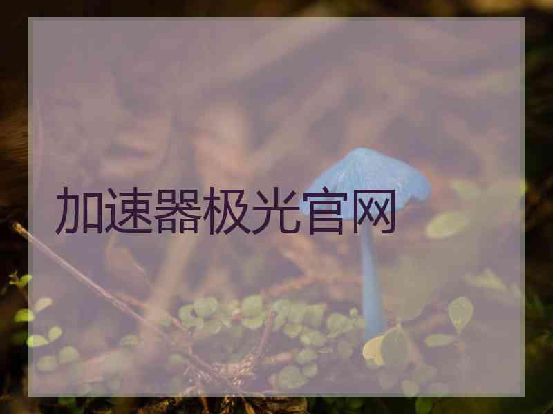 加速器极光官网