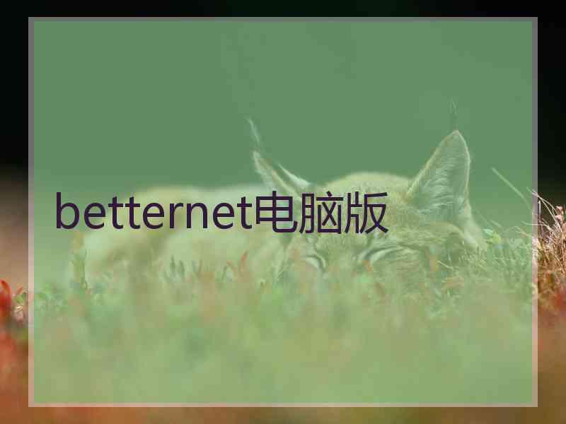 betternet电脑版