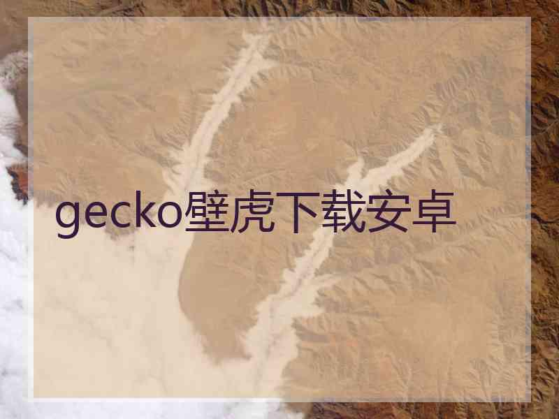 gecko壁虎下载安卓