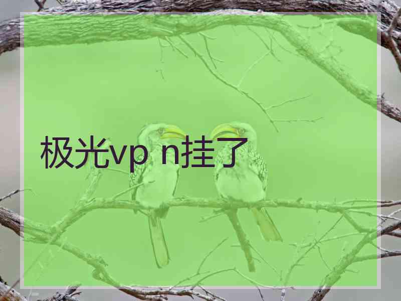 极光vp n挂了