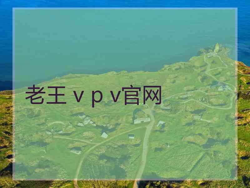 老王 v p v官网