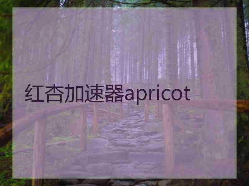 红杏加速器apricot