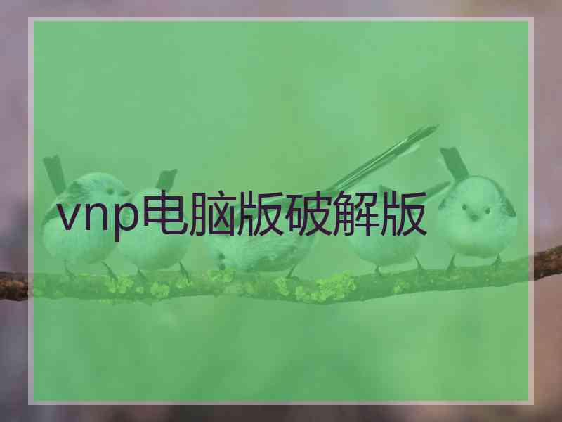 vnp电脑版破解版