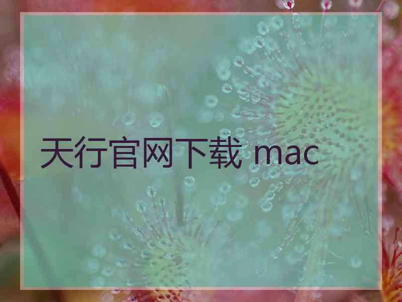 天行官网下载 mac