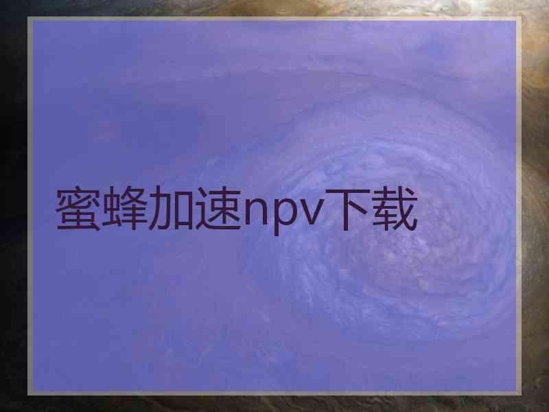 蜜蜂加速npv下载