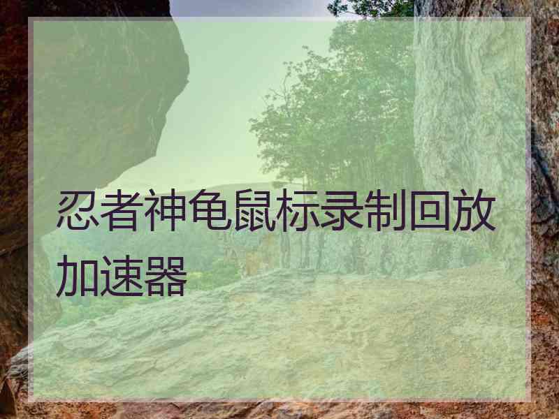 忍者神龟鼠标录制回放加速器