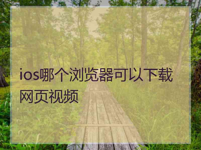 ios哪个浏览器可以下载网页视频