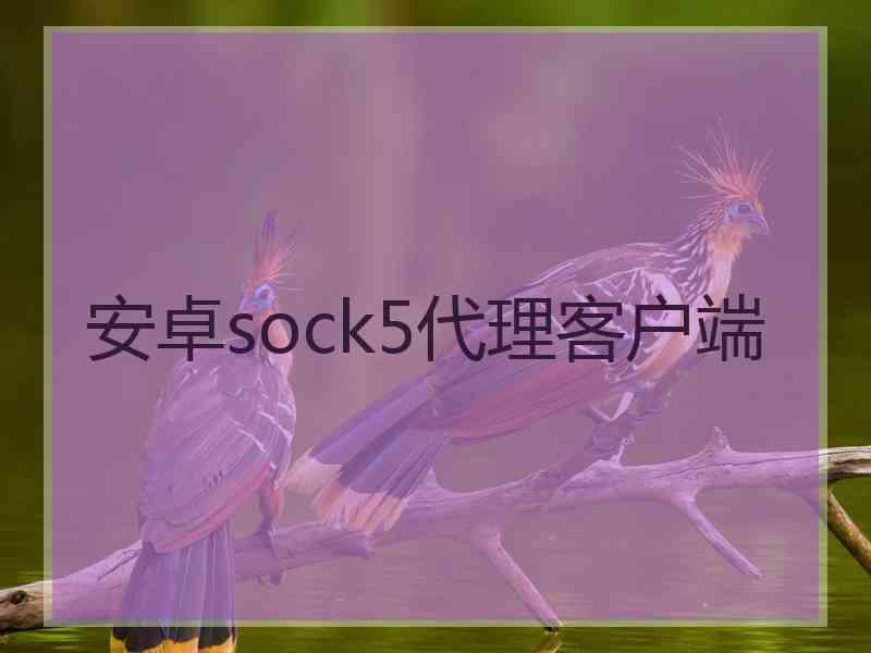 安卓sock5代理客户端