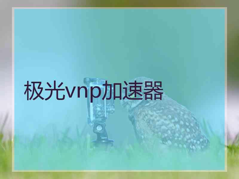 极光vnp加速器