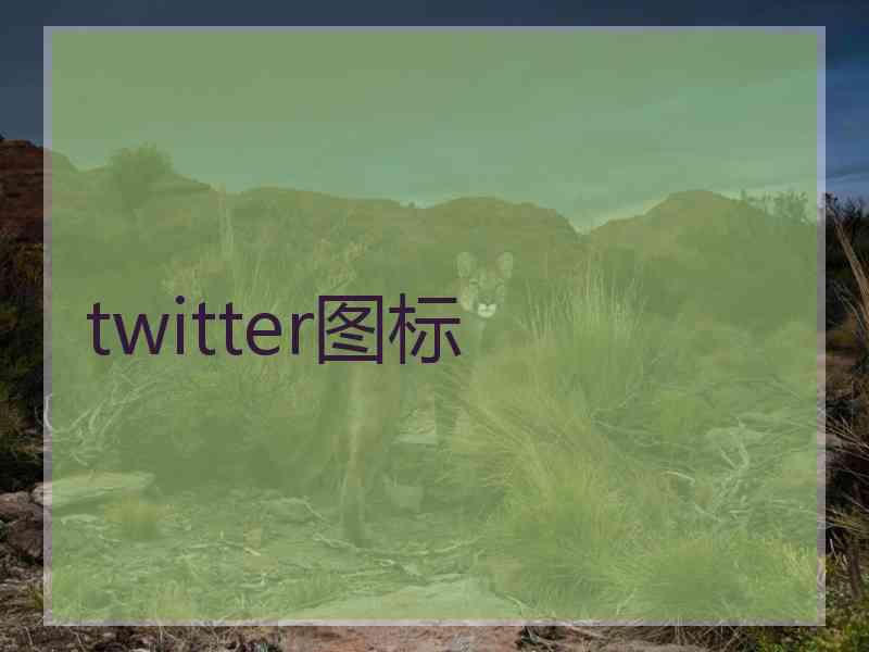 twitter图标