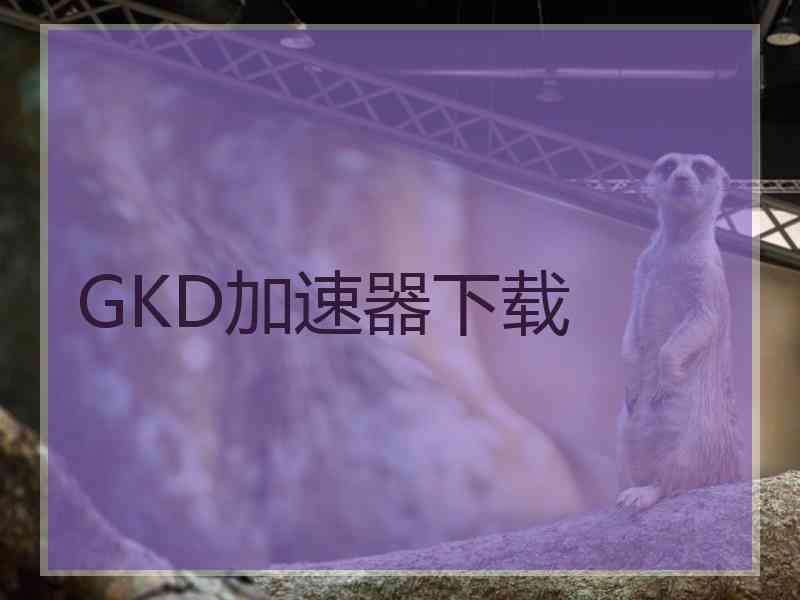 GKD加速器下载