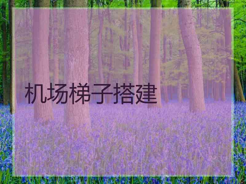 机场梯子搭建