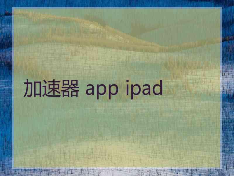 加速器 app ipad