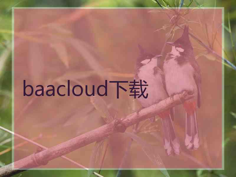 baacloud下载