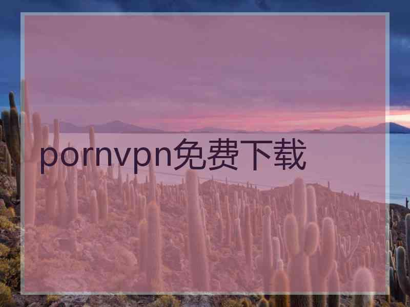 pornvpn免费下载