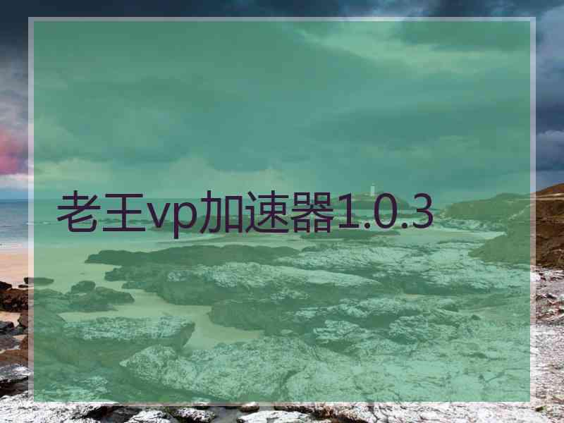 老王vp加速器1.0.3