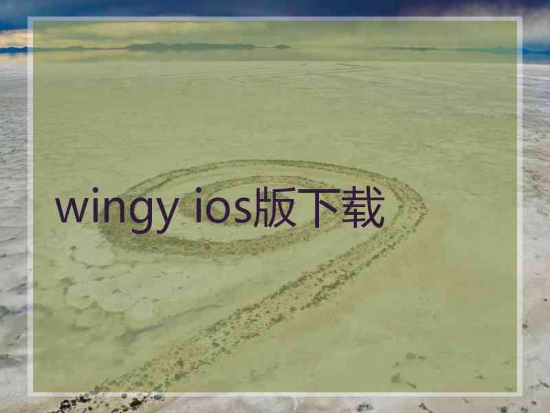 wingy ios版下载