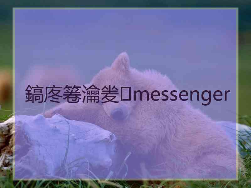 鎬庝箞瀹夎messenger