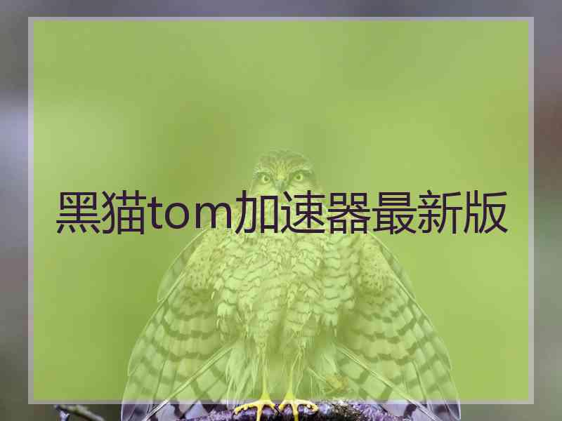 黑猫tom加速器最新版