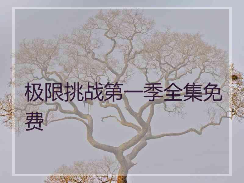 极限挑战第一季全集免费