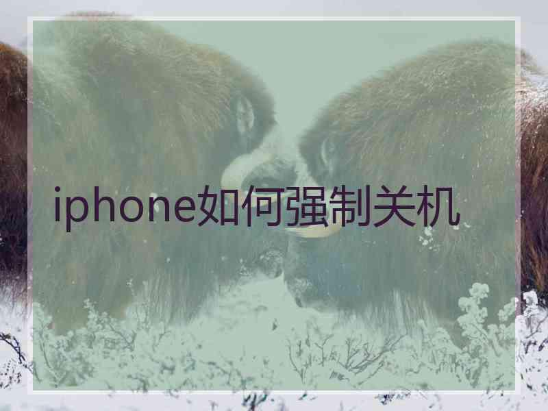 iphone如何强制关机