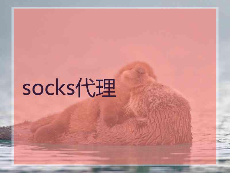 socks代理