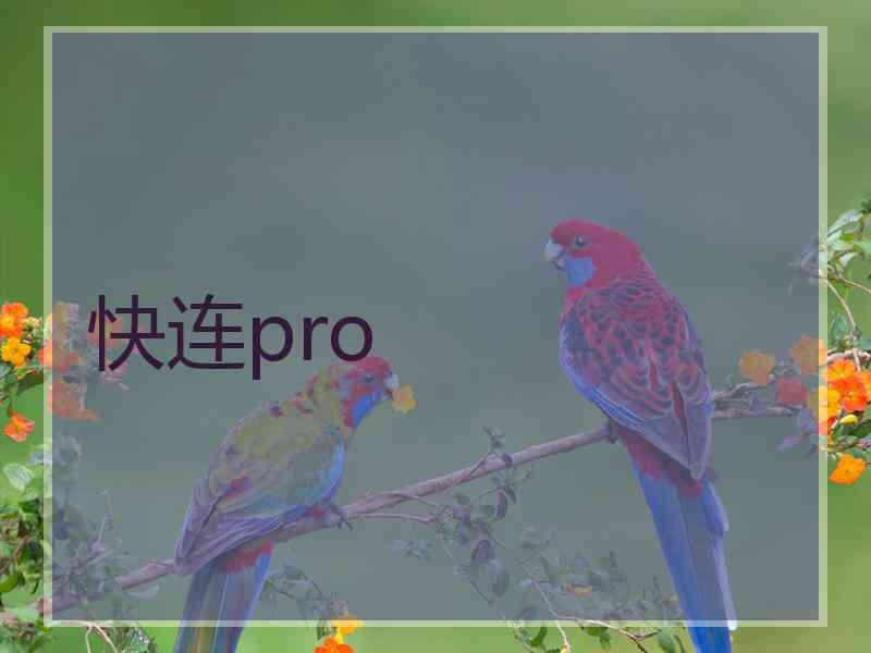 快连pro