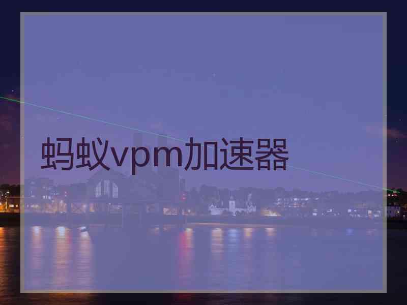 蚂蚁vpm加速器