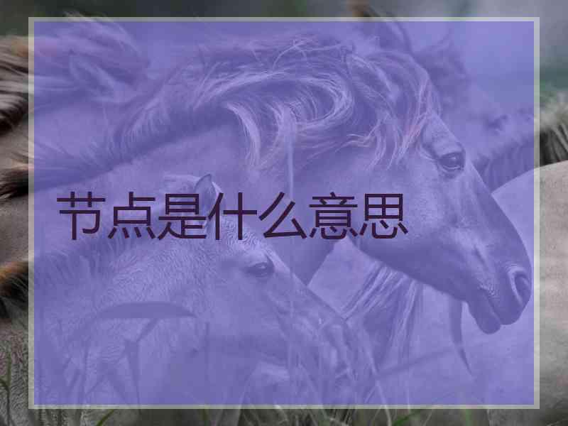 节点是什么意思