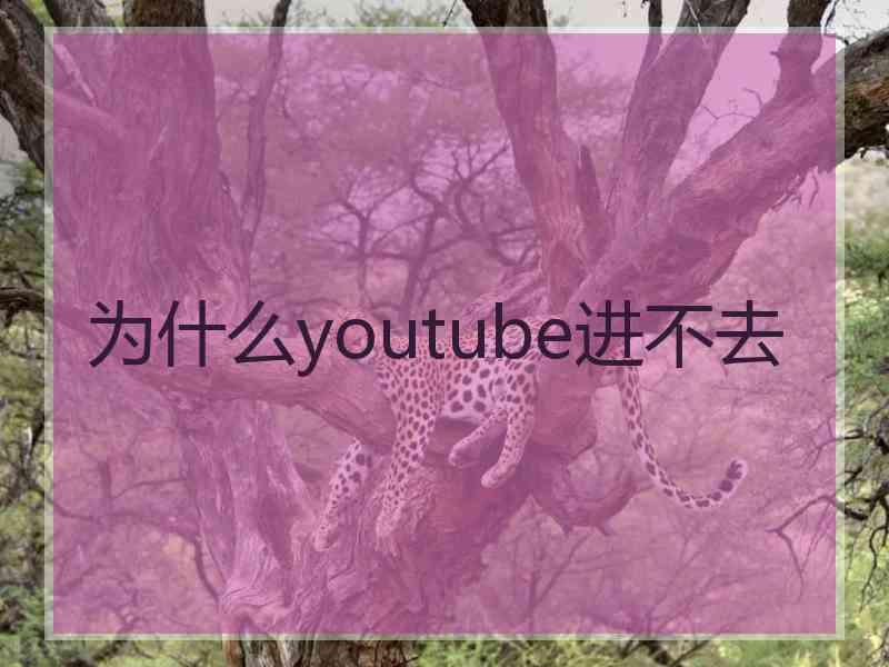 为什么youtube进不去