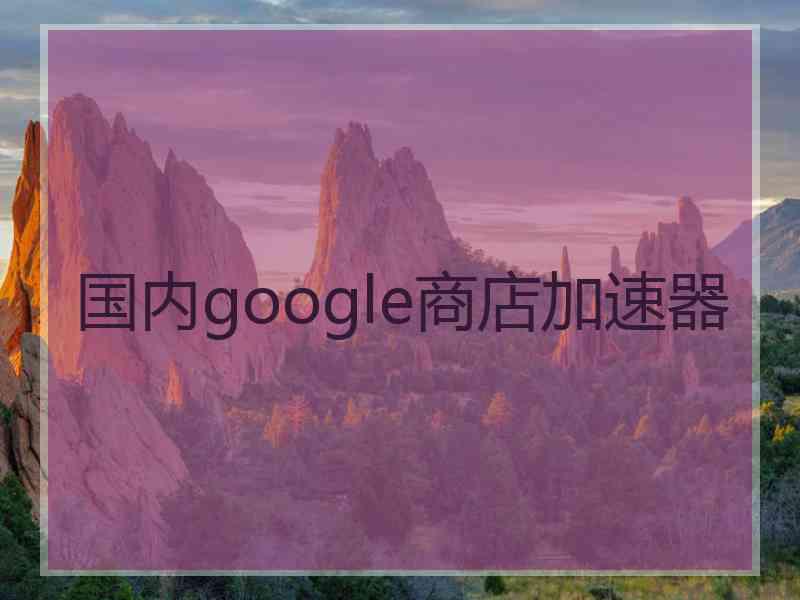 国内google商店加速器