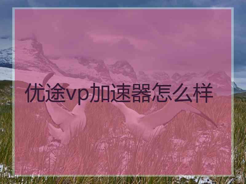 优途vp加速器怎么样