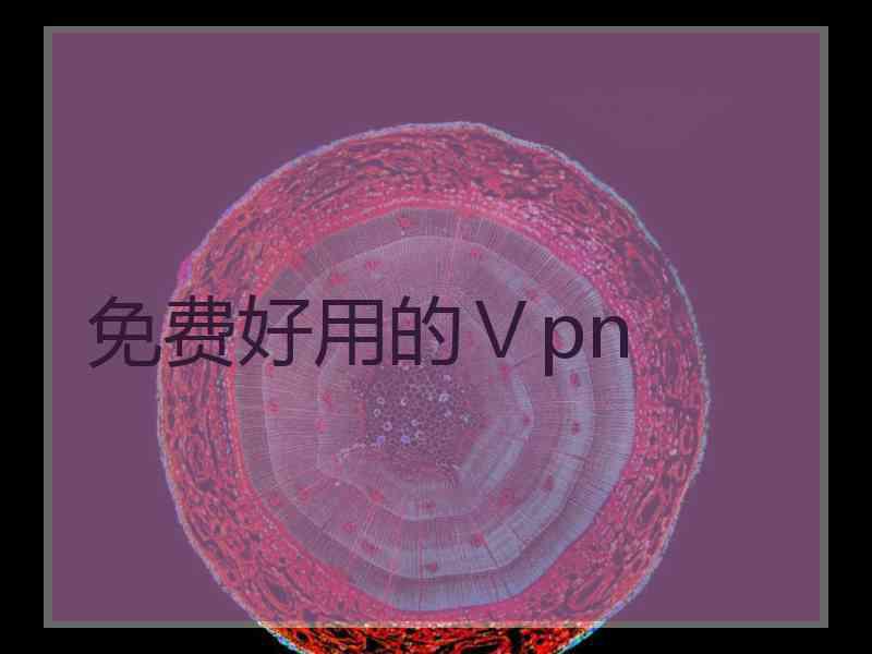 免费好用的Ⅴpn