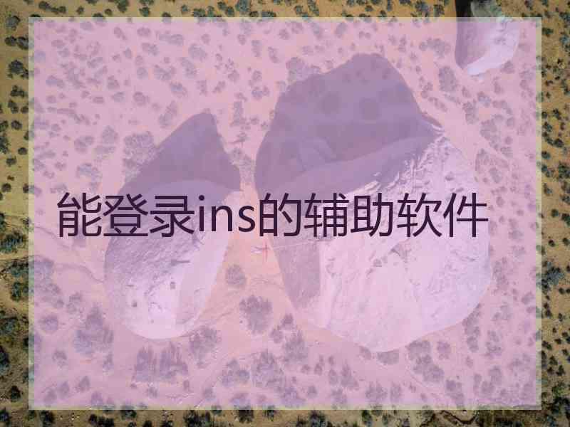 能登录ins的辅助软件