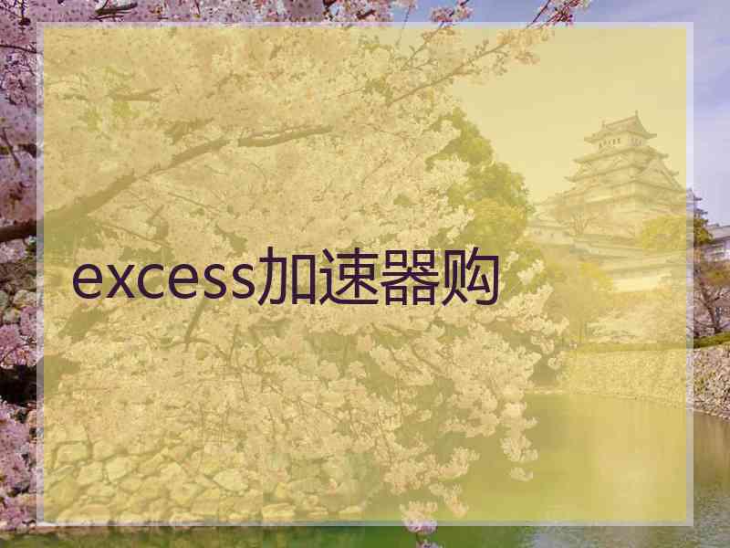 excess加速器购