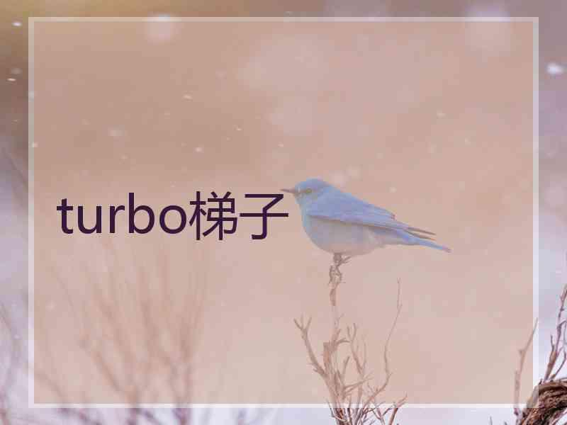 turbo梯子