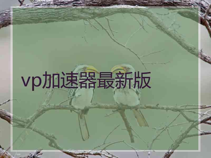 vp加速器最新版