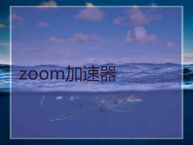 zoom加速器