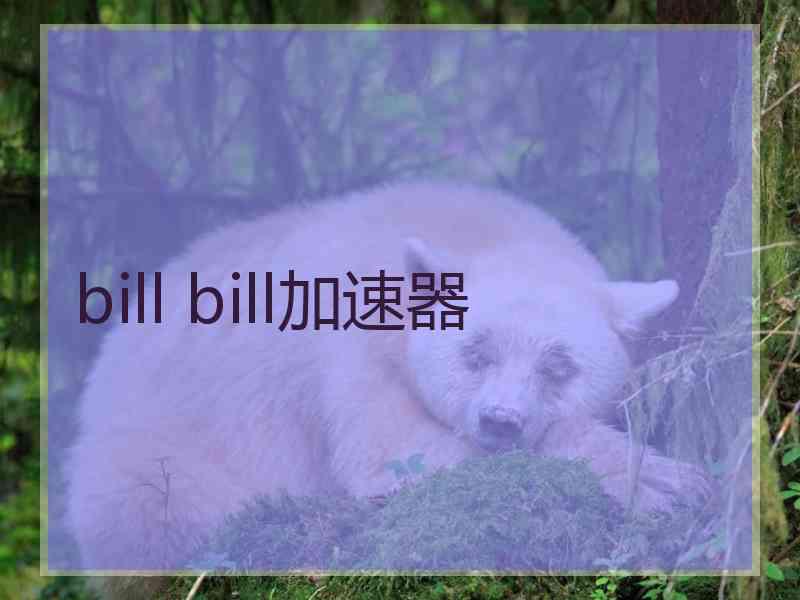 bill bill加速器