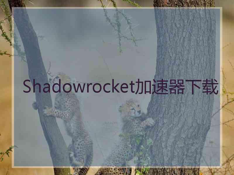 Shadowrocket加速器下载