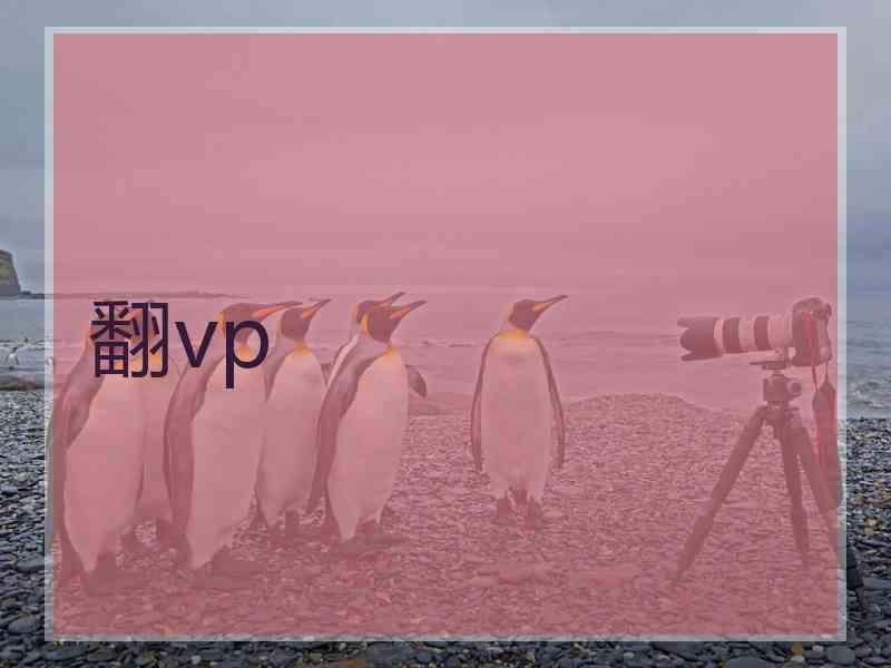 翻vp