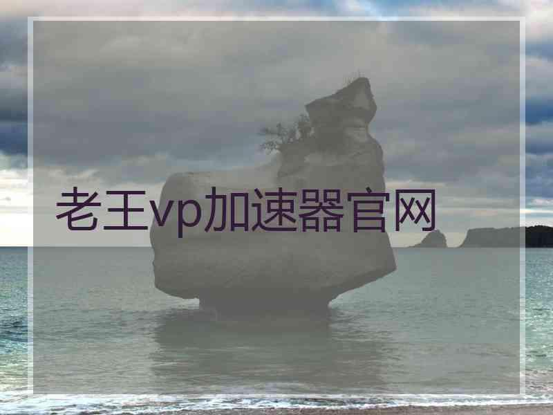 老王vp加速器官网