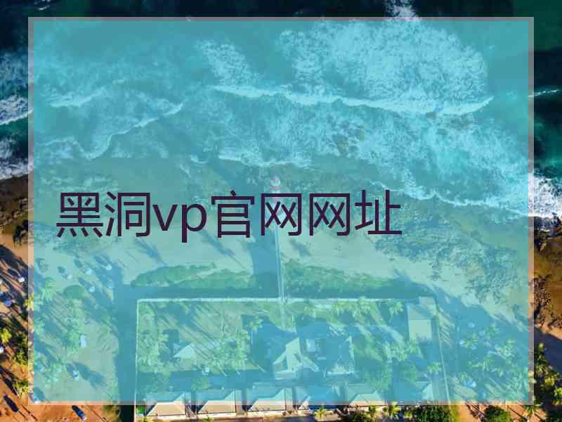 黑洞vp官网网址